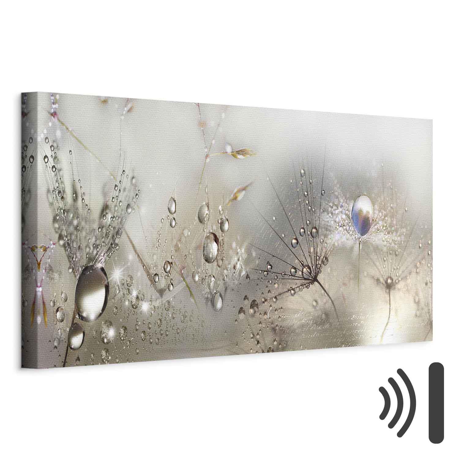 Billede på lærred Morgensang med mælkebøtter - 120 x 40 cm - Akustisk