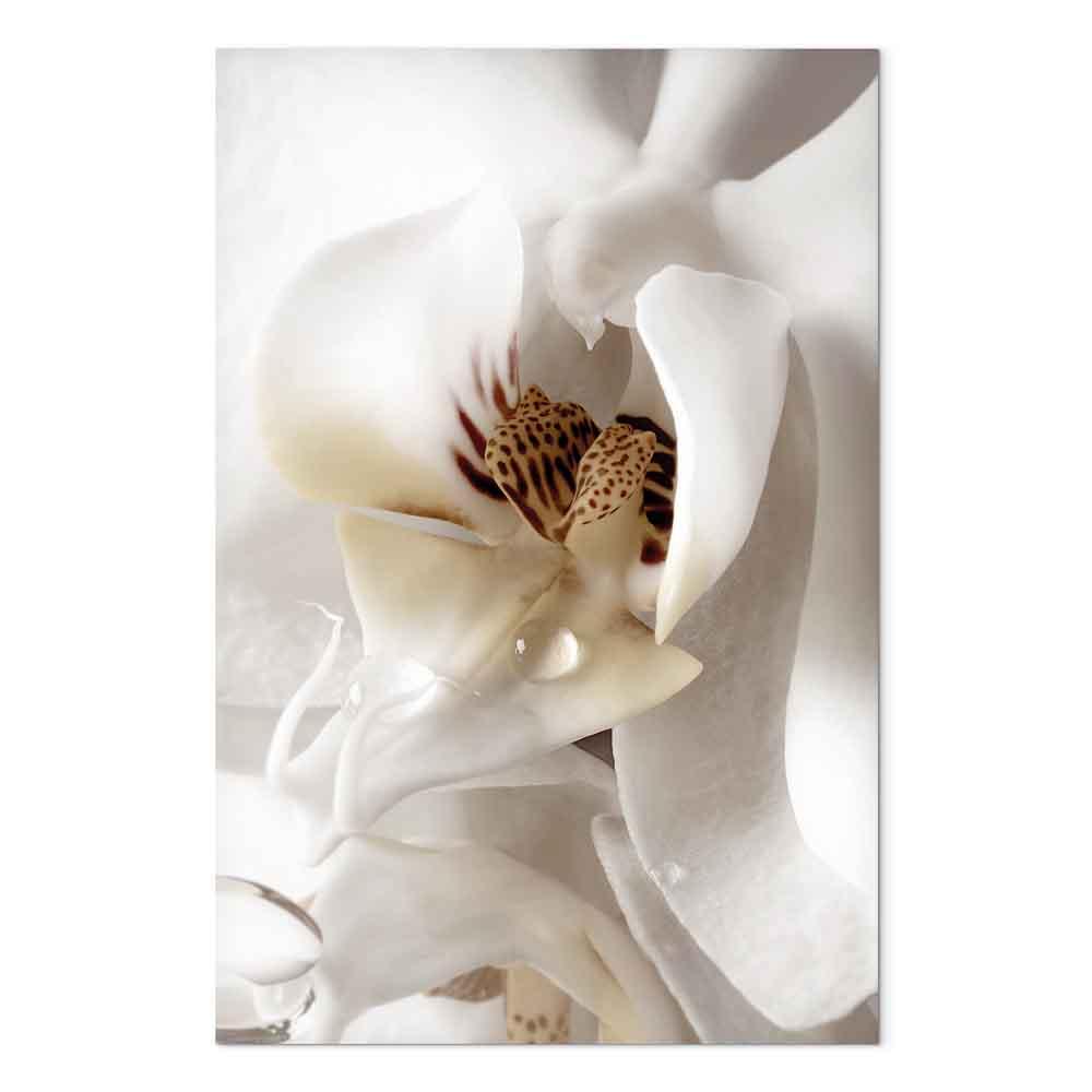 Billede på lærred med blomstermotiv - En dråbe af drømme lodret - 40 x 60 cm - Akustisk