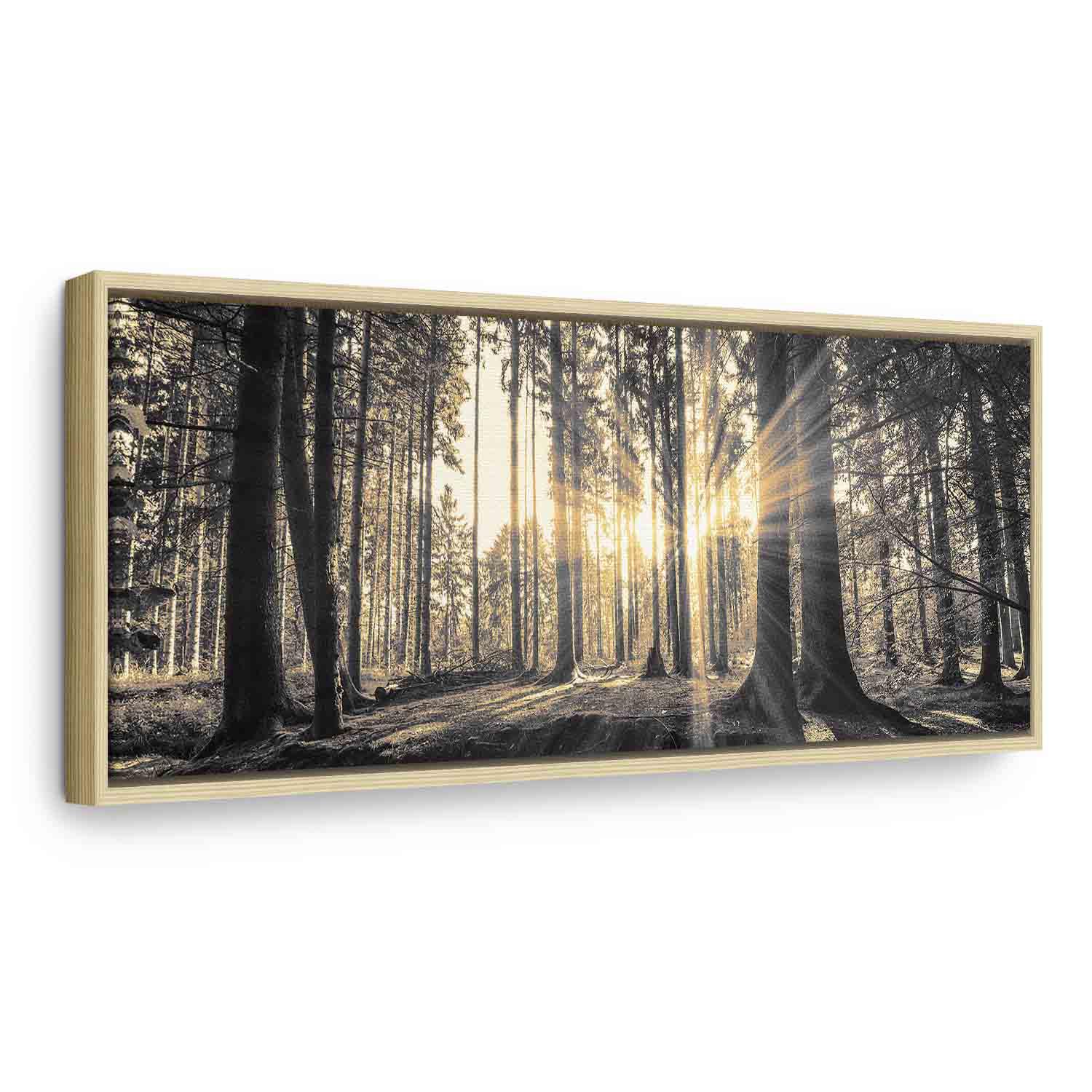 Lærredsbillede Forest Sun med skovmotiv - 120 x 40 cm - I en naturlig træramme