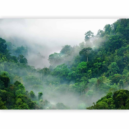 Fototapet Morning Fog