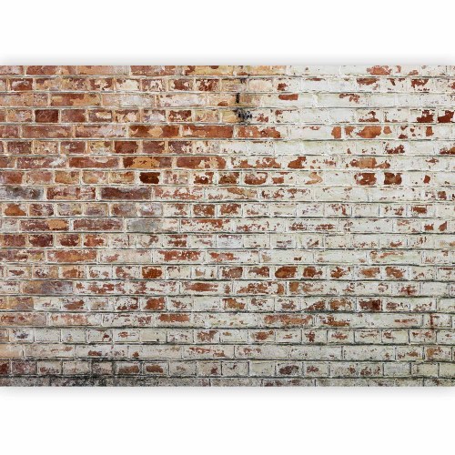 Fototapet Walls of Memory
