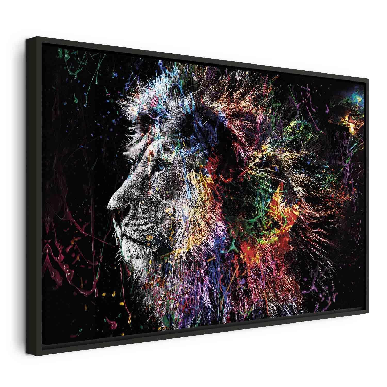 Lærredsbillede Crazy Lion Wide - løve vægbillede i 1 del - 60 x 40 cm - I en sort træramme