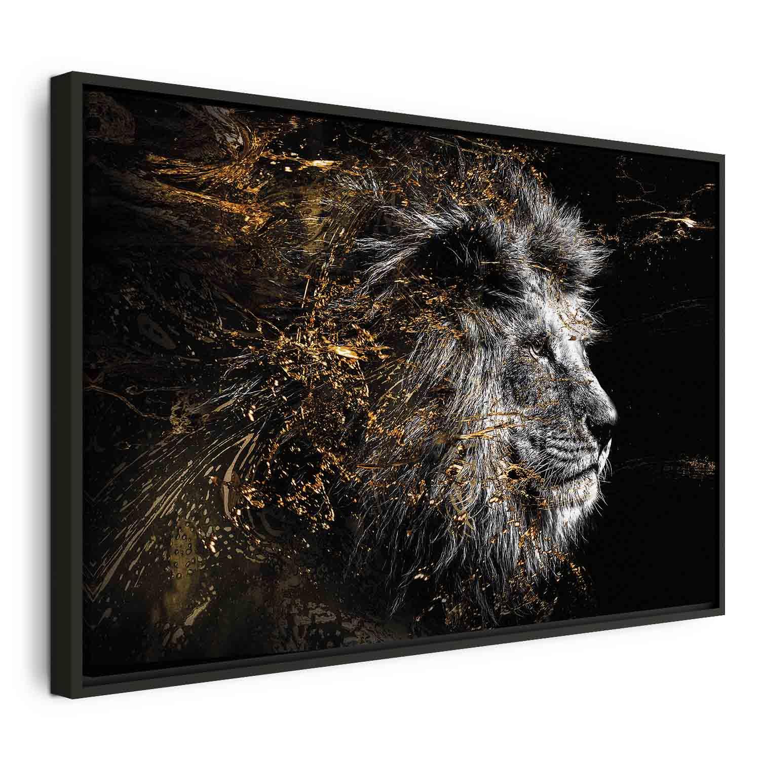 Billede på lærred med løve - Solens konge i bredformat - 90 x 60 cm - I en sort træramme