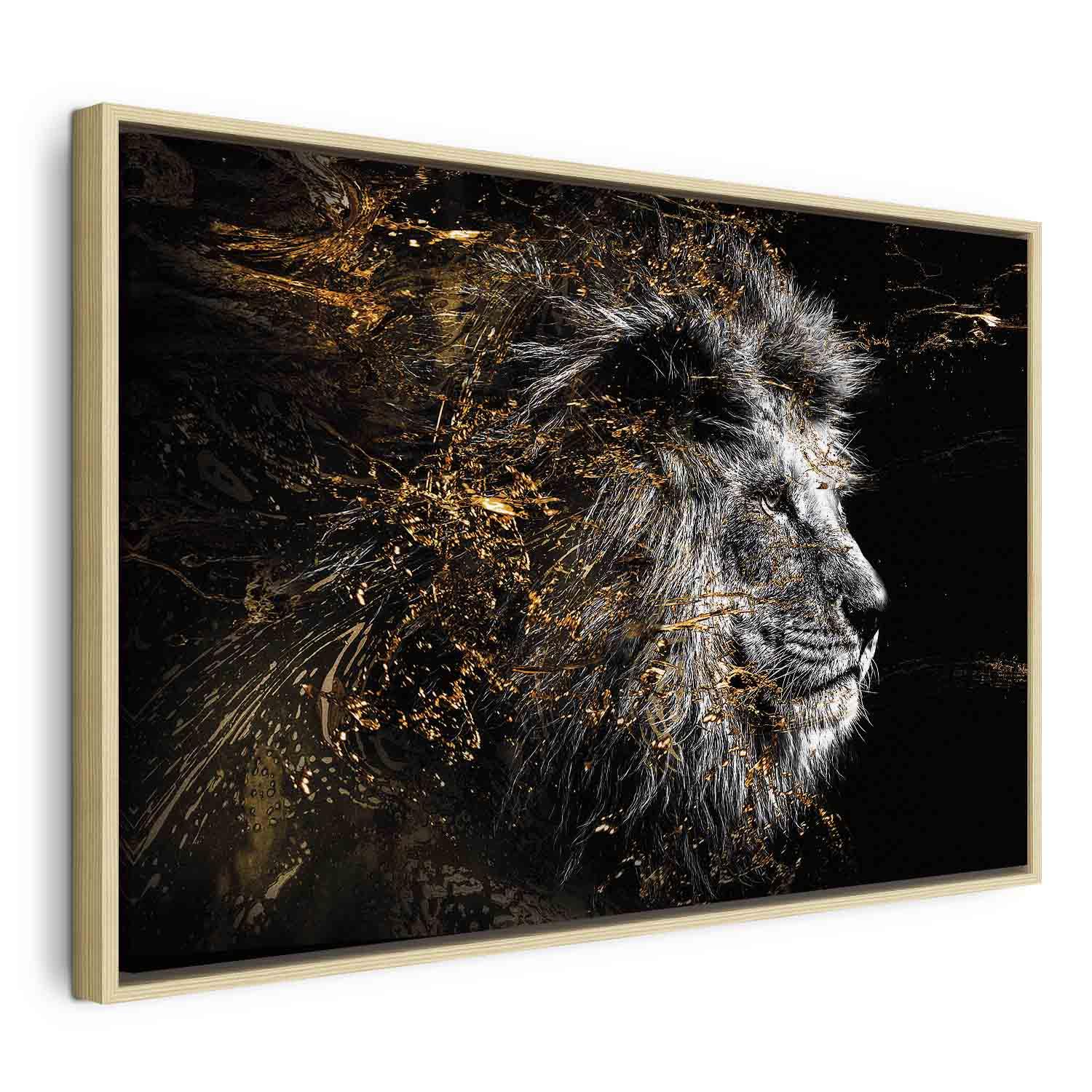 Billede på lærred med løve - Solens konge i bredformat - 90 x 60 cm - I en naturlig træramme