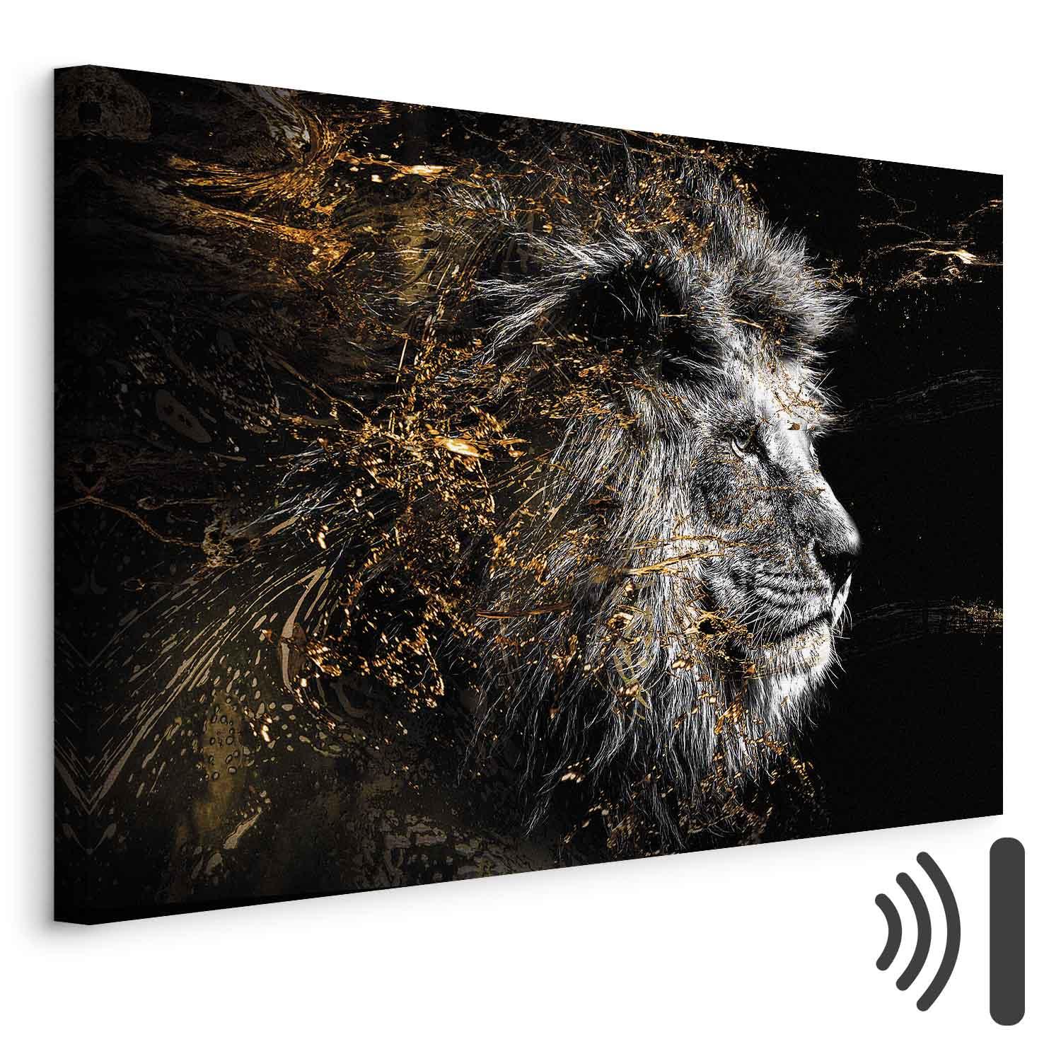 Billede på lærred med løve - Solens konge i bredformat - 90 x 60 cm - Akustisk