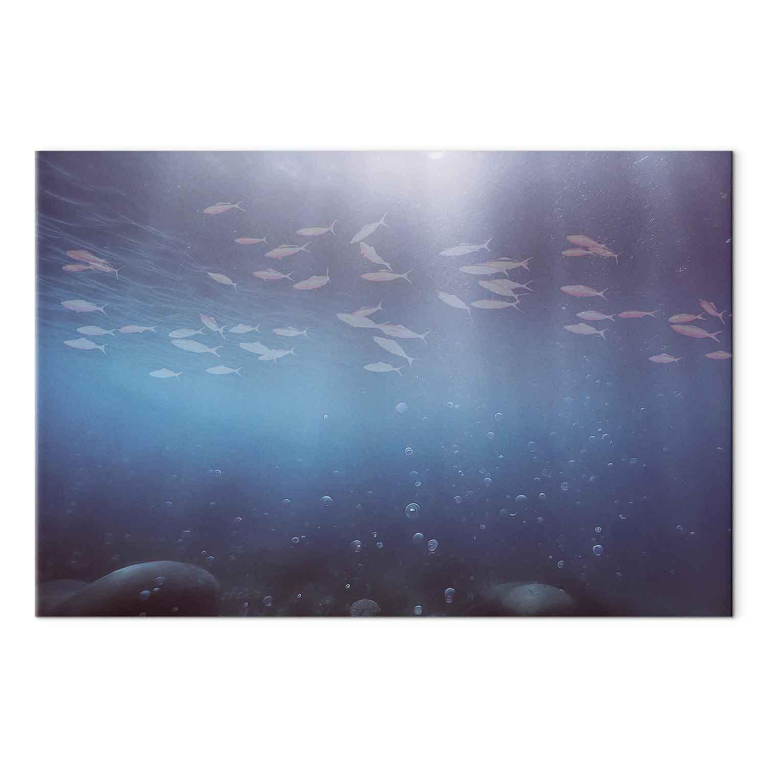 Lærredsbillede Fisk i dybet - 90 x 60 cm - Akustisk