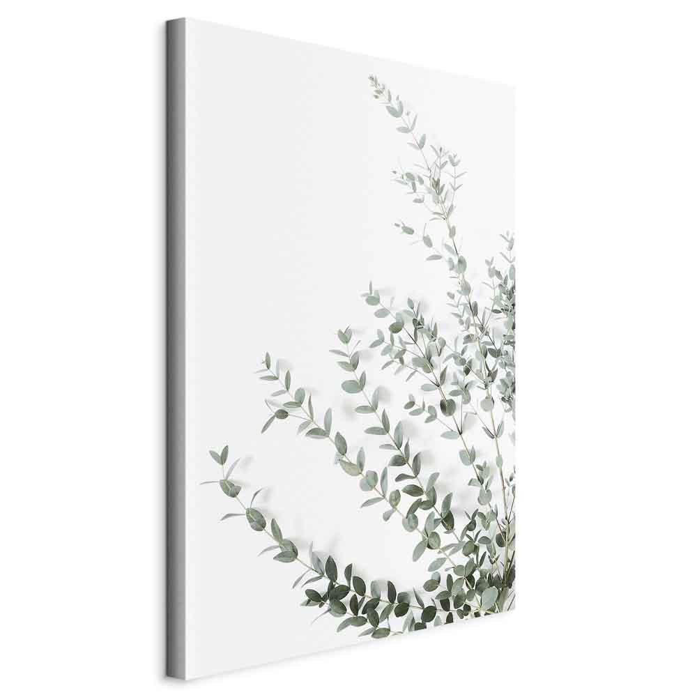 Lærredsbillede Eucalyptus Parvifolia lodret med blade - 20 x 30 cm - På italiensk lærred