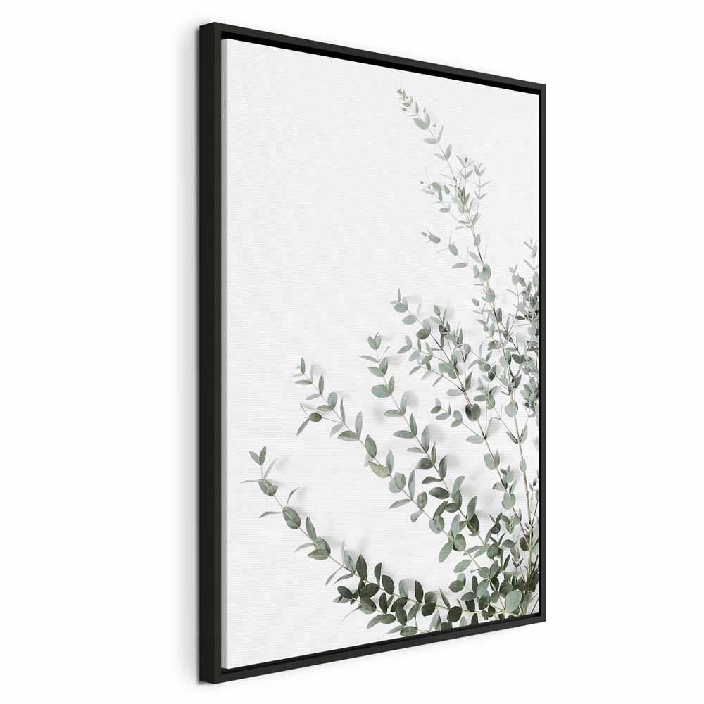 Lærredsbillede Eucalyptus Parvifolia lodret med blade - 80 x 120 cm - I en sort træramme