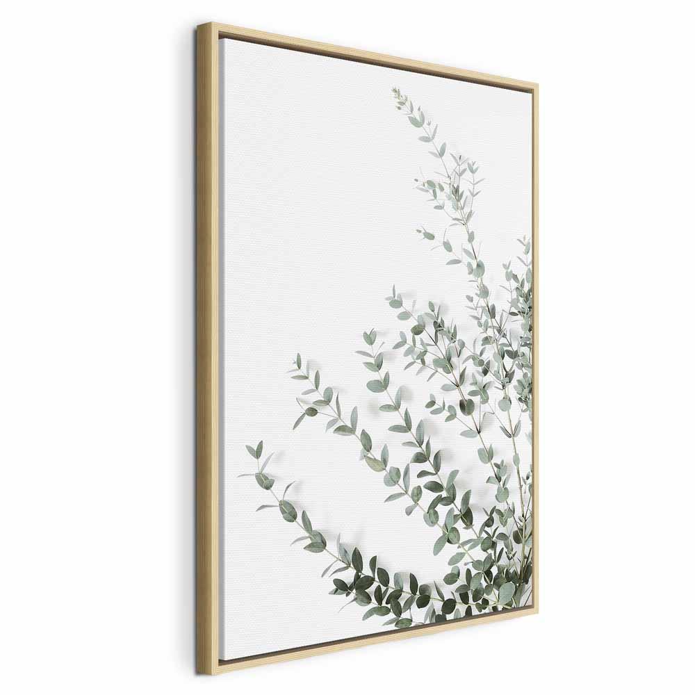 Lærredsbillede Eucalyptus Parvifolia lodret med blade - 80 x 120 cm - I en naturlig træramme