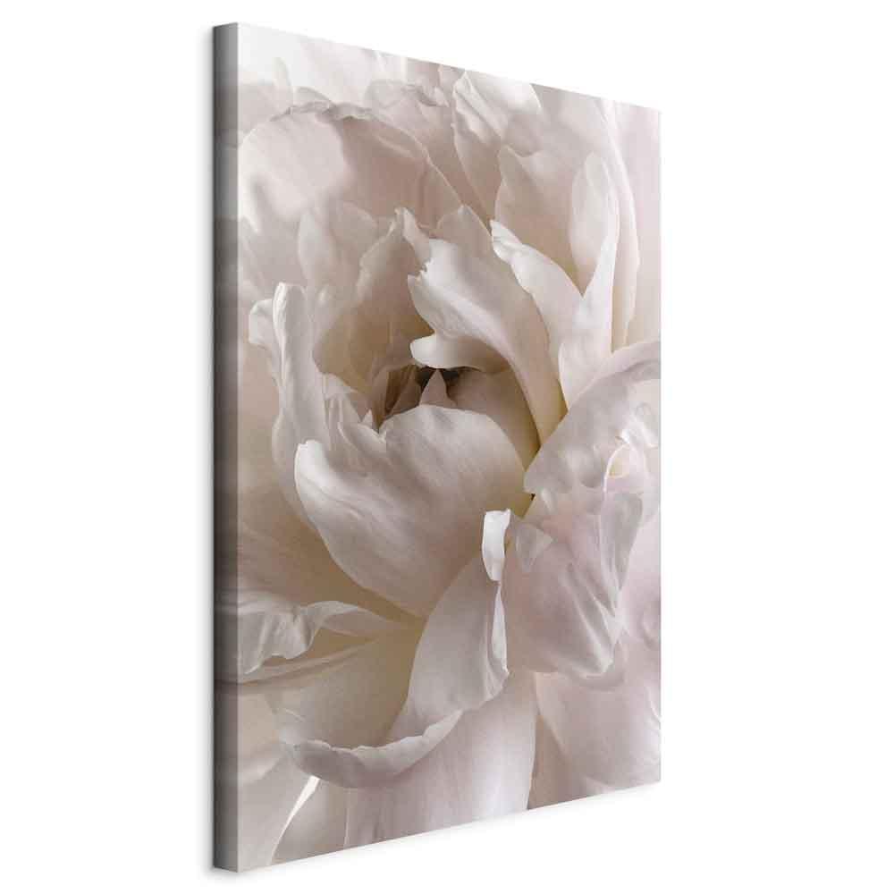 Lærredsbillede Fluffy Distraktion - lodret blomsterbillede - 20 x 30 cm - På italiensk lærred