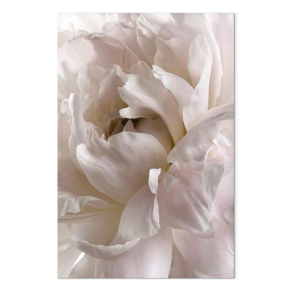 Lærredsbillede Fluffy Distraktion - lodret blomsterbillede - 20 x 30 cm - Premium Print