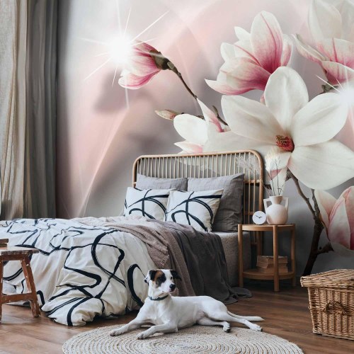 Fototapet Hvide magnolier