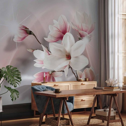 Fototapet Hvide magnolier