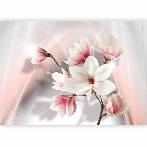 Fototapet Hvide magnolier