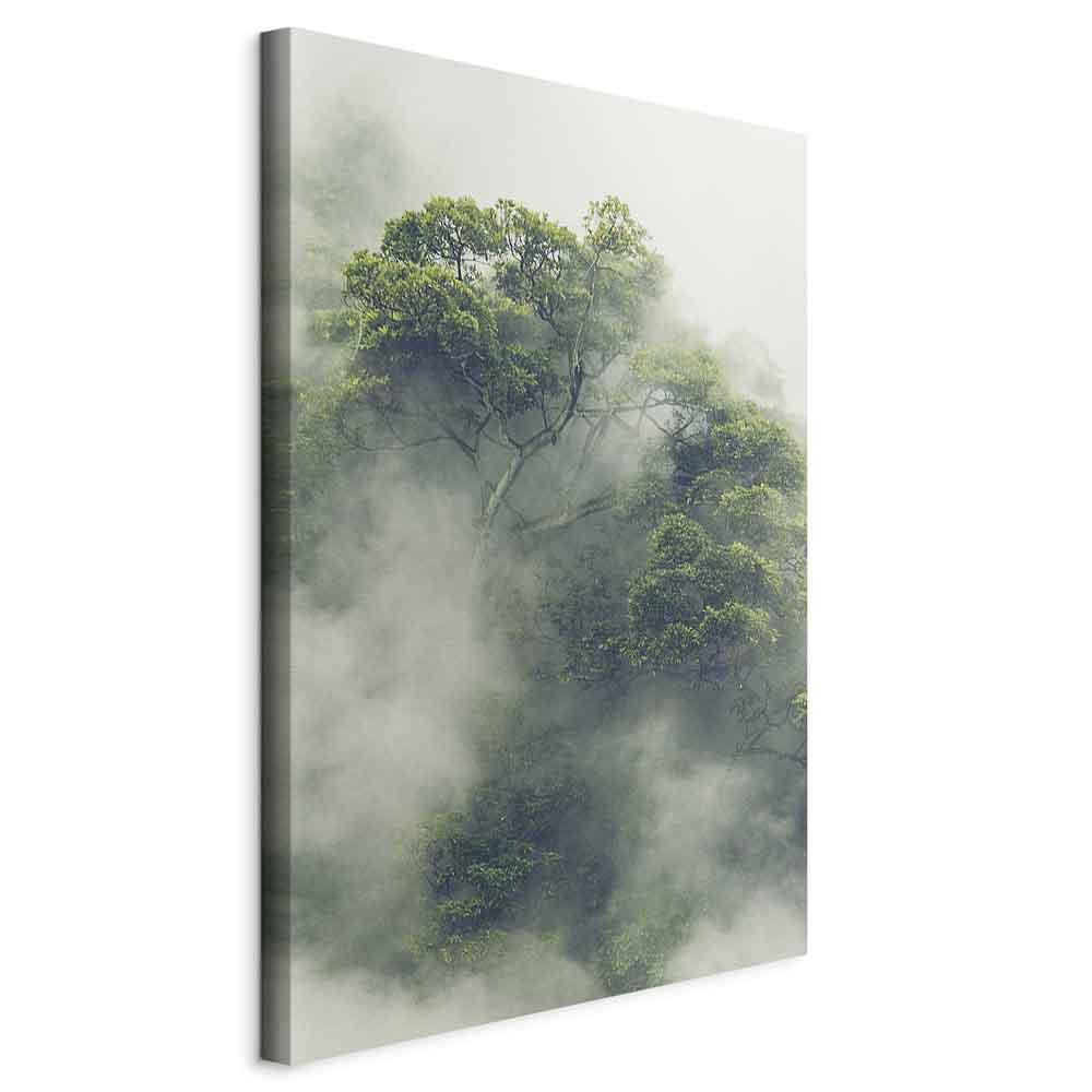Lærredsbillede Tåget Amazonas lodret - 20 x 30 cm - På italiensk lærred