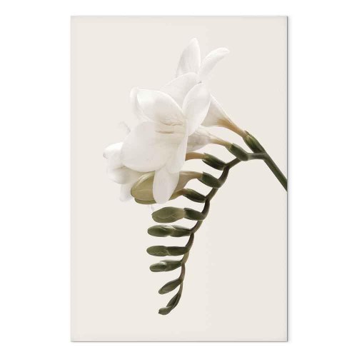 Lærredsbillede Spring Headdress - lodret, 1 del