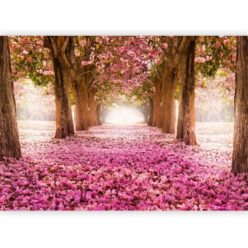 Fototapet Pink grove
