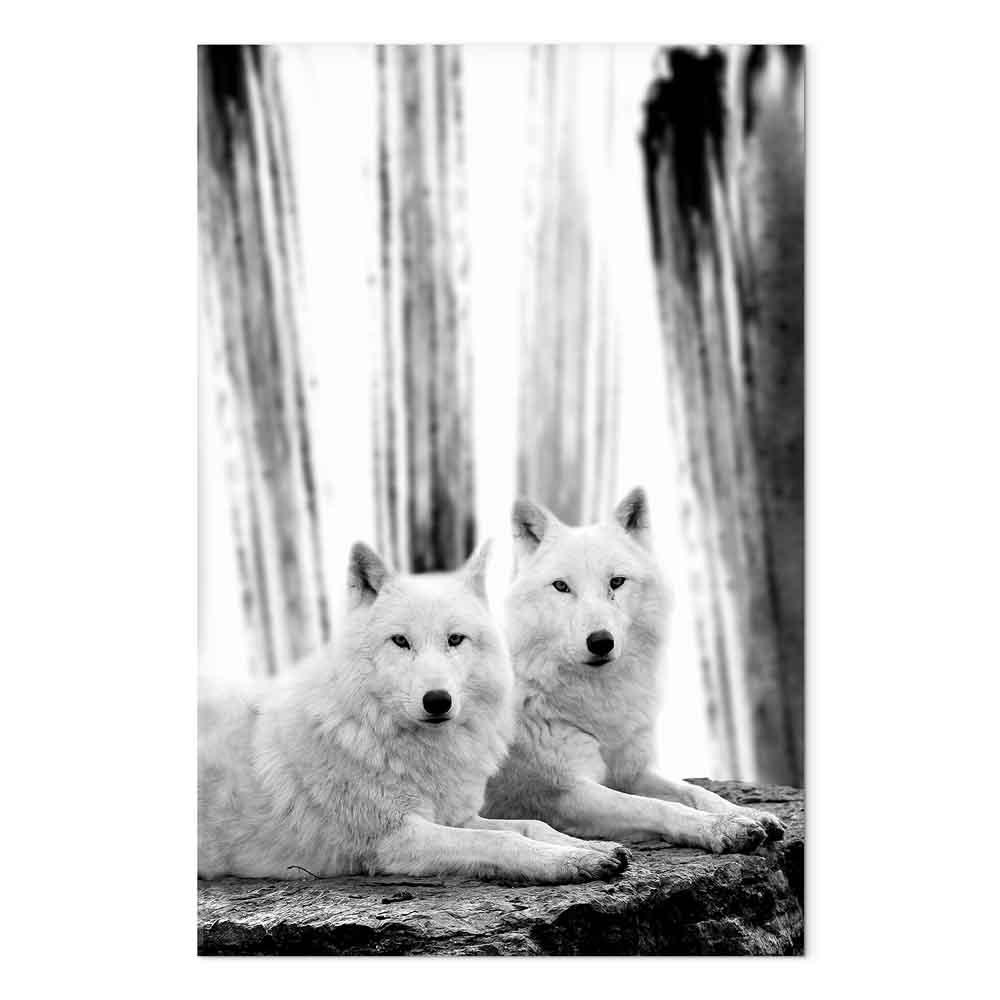 Lærredsbillede Forest Love lodret med hvide ulve - 20 x 30 cm - Premium Print