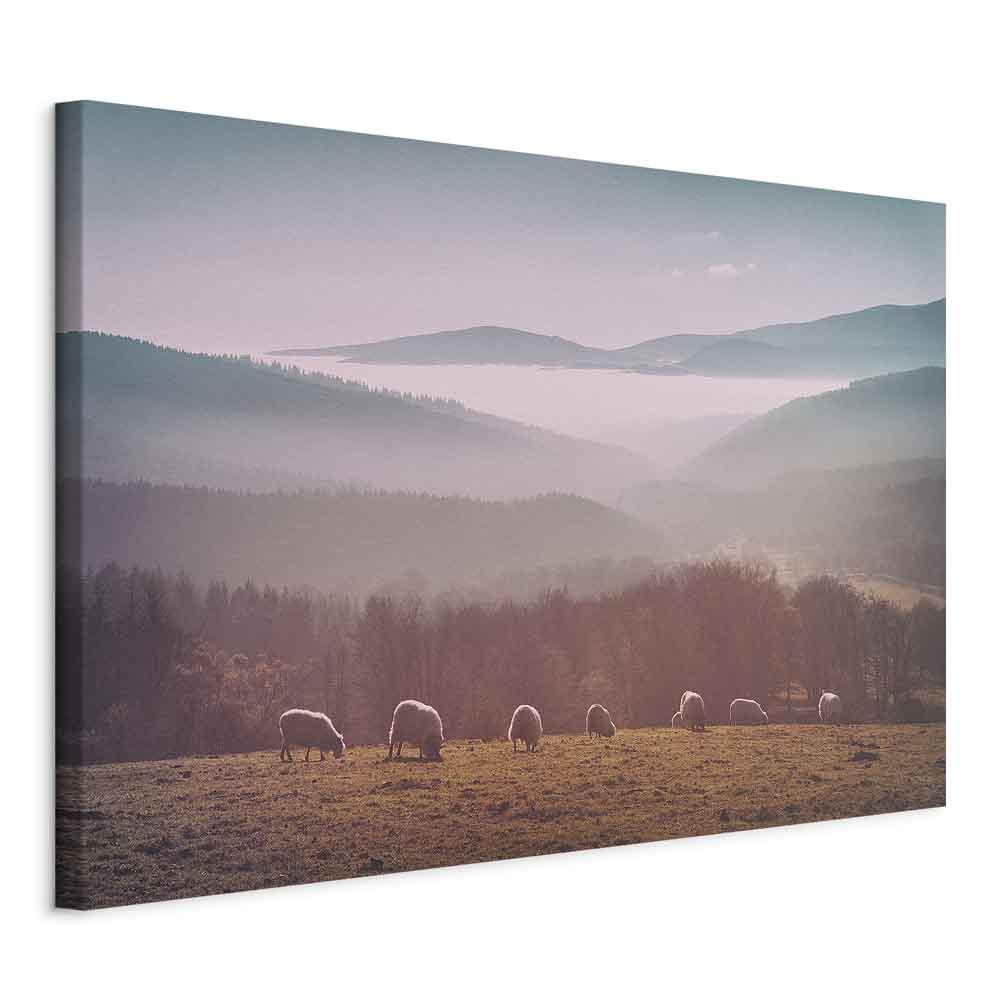 Lærredsbillede med får i bjerglandskab - natur vægbillede - 30 x 20 cm - Standard