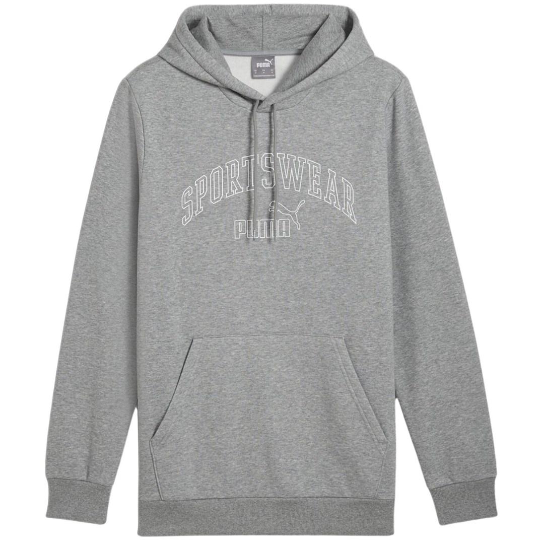 PUMA ESS+ Logo LAB Gradient hættetrøje grå str. M