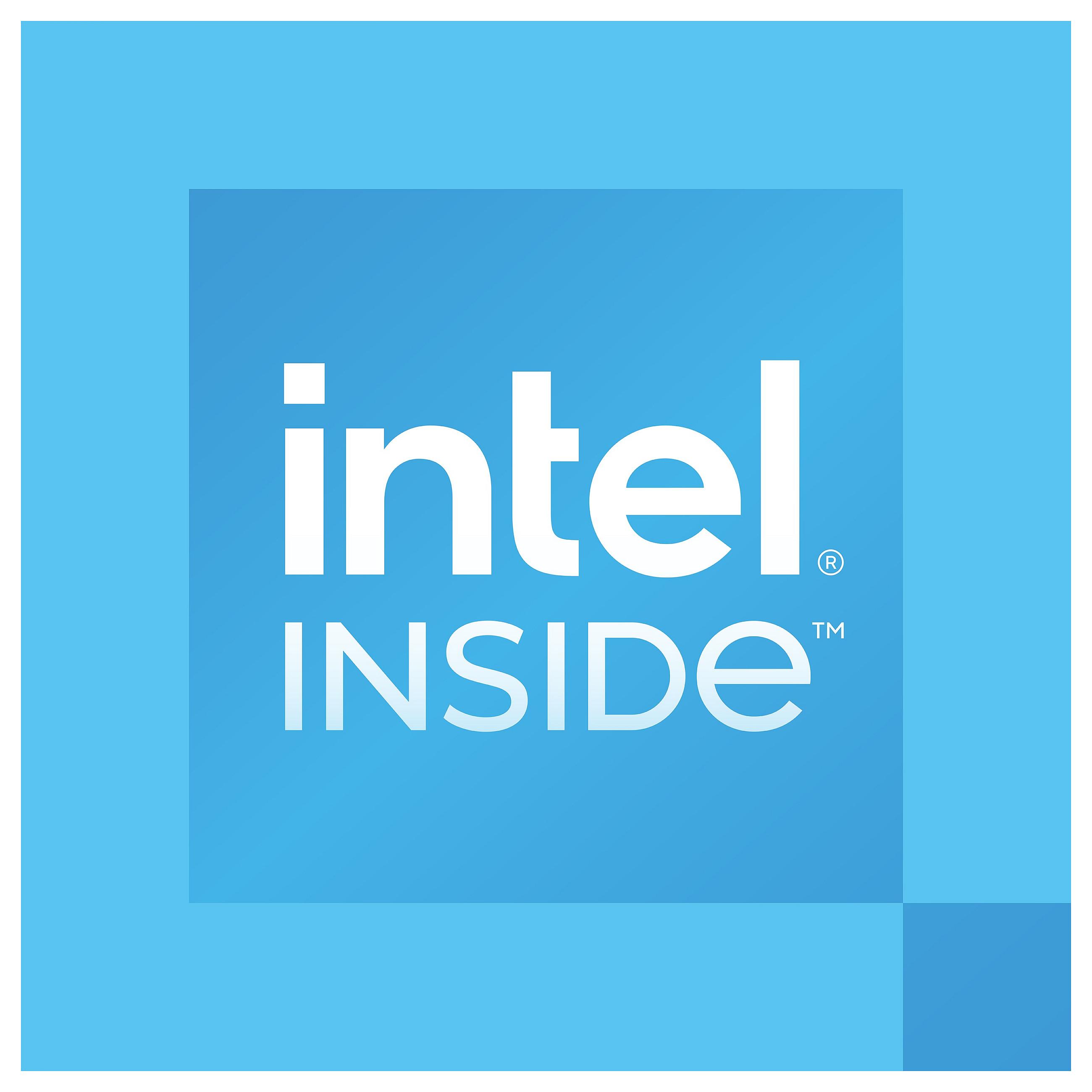 Intel CPU For Desktop 300 3.9GHz Dual-Core FCLGA1700 Socket TRAY - u/køler