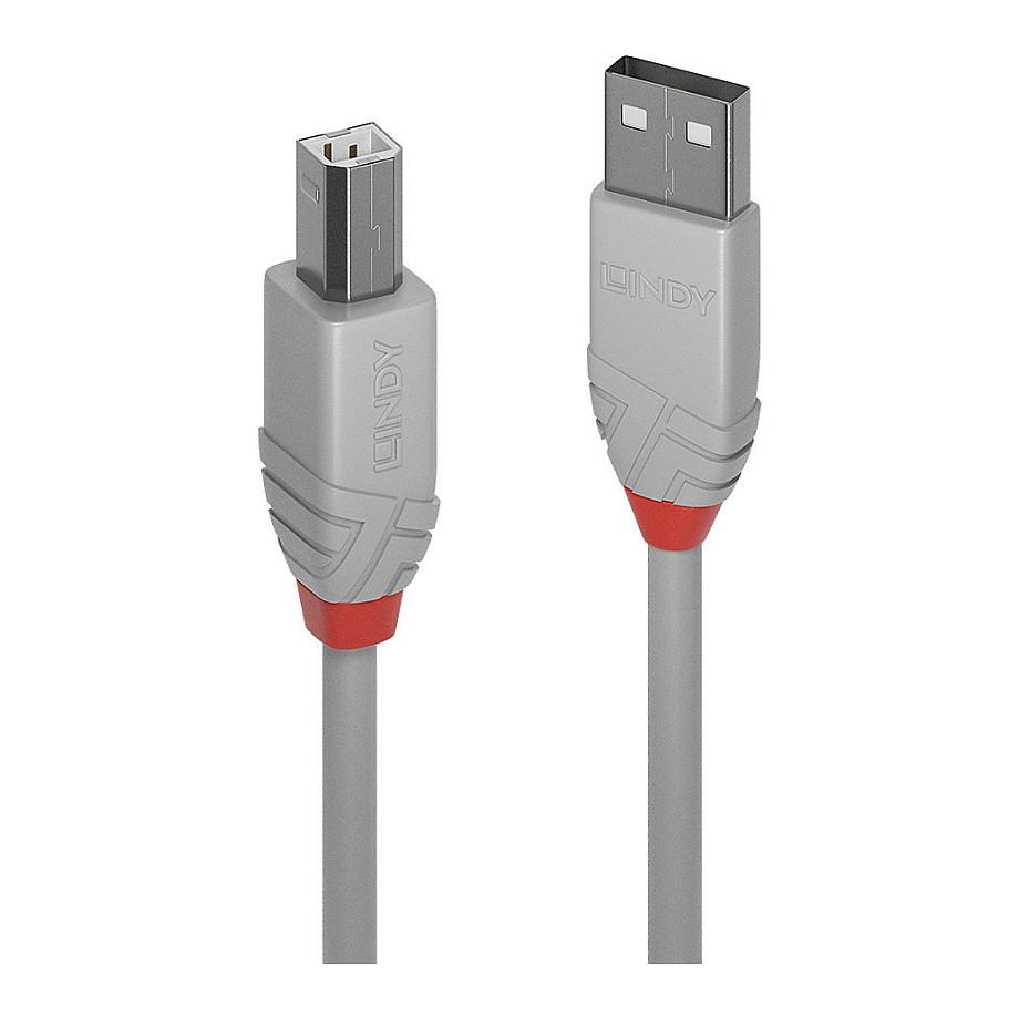 USB 2.0-kabel Lindy Anthra Line A/B 0,5 m - grå
