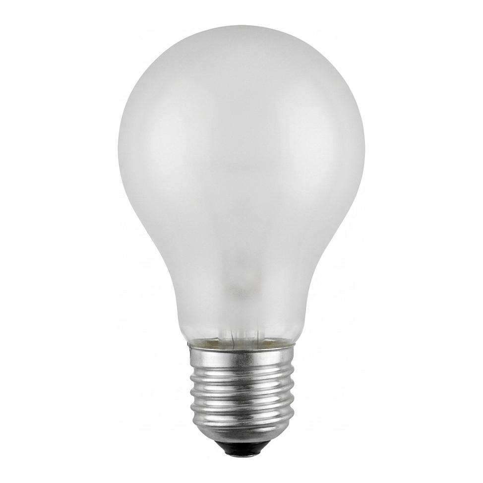 Universalpære 40714 E27 24 V 60 W mat - 60 x 105 mm