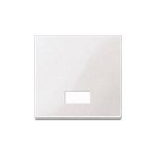 Afbrydervippe Merten 432819 med symbolvindue pws SYSTEM M