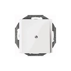 Centralplade til ledningsudtag Merten 296319 SYSTEM M pws