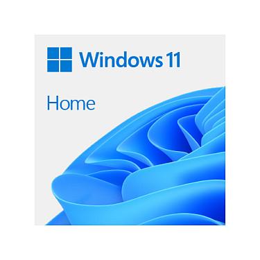 Windows 11 Home - Bokspakke - 1 licens - flashdrev - 64-bit - Fransk