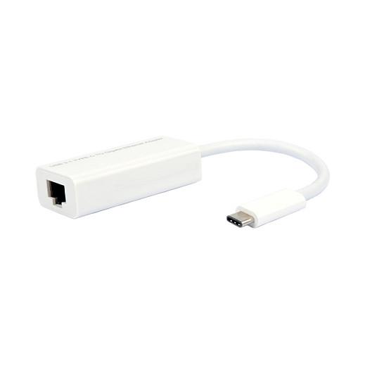 USB-C til Gigabit Ethernet-konverter ROLINE USB 3.2 Gen 2