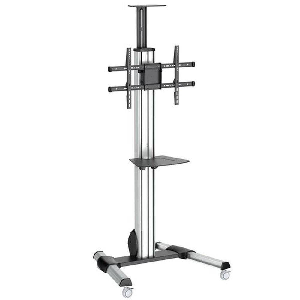 Trolley Startech Stndmtv70