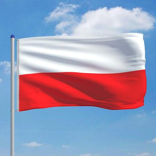 Polens flag og flagstang 6 m aluminium
