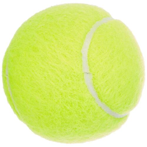 Tennisbolde Dunlop 601316 Gul