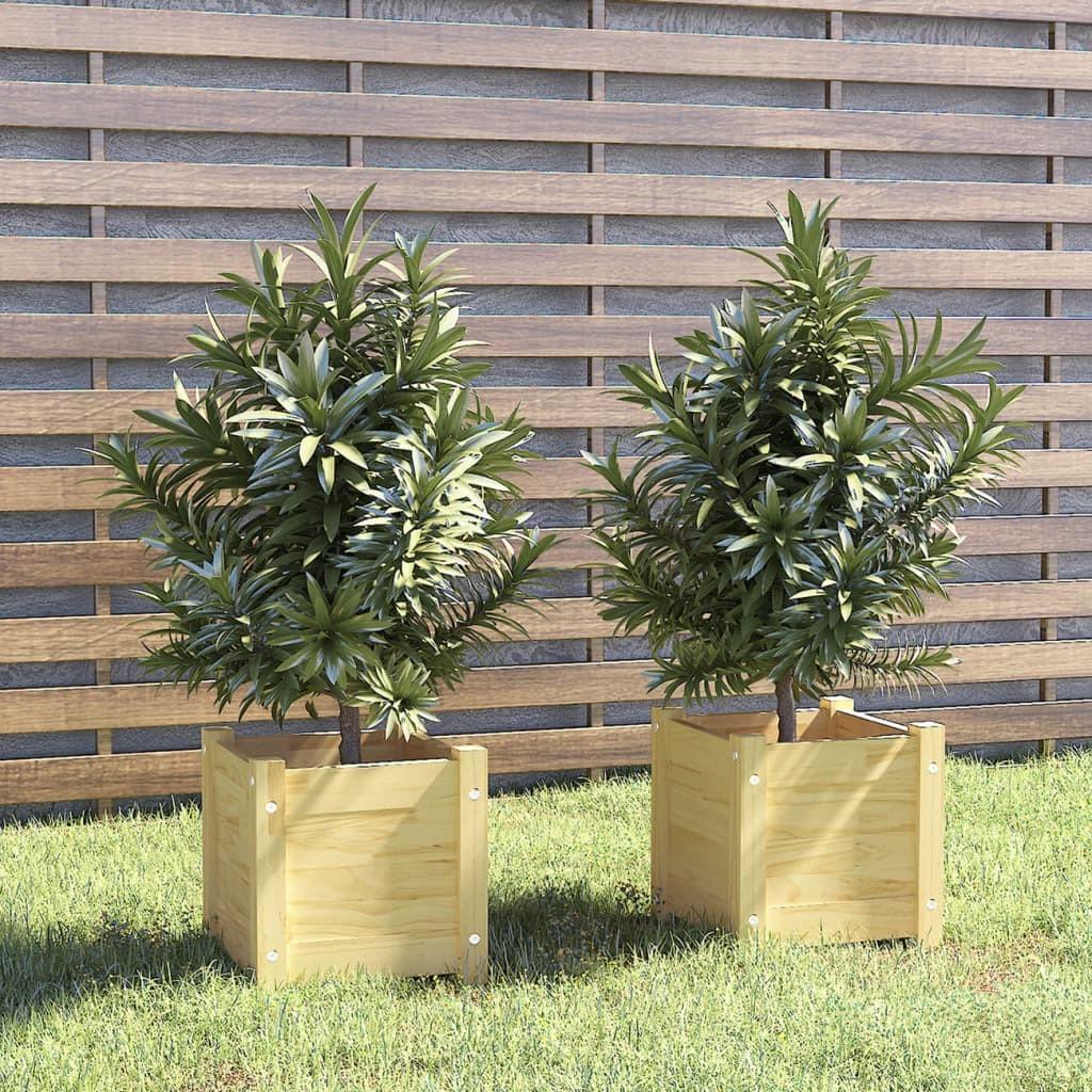 Plantekasser 2 stk. 31x31x31 cm massivt fyrretræ