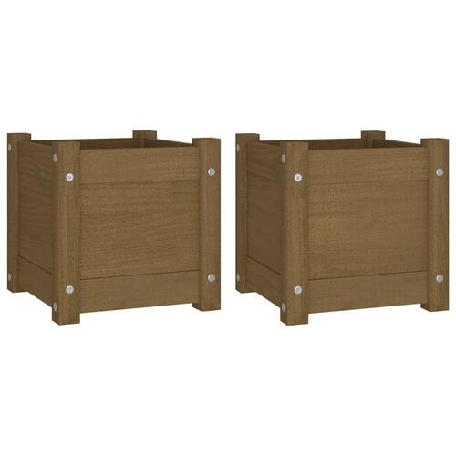 Plantekasser 2 stk. 31x31x31 cm massivt fyrretræ gyldenbrun