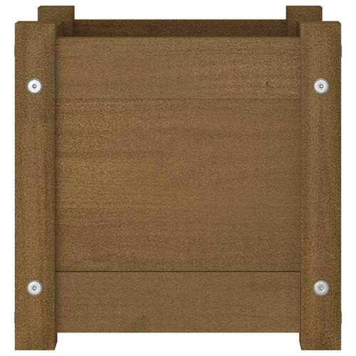 Plantekasser 2 stk. 31x31x31 cm massivt fyrretræ gyldenbrun