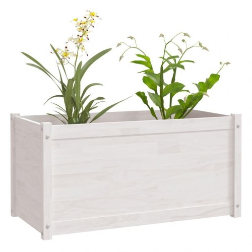 Plantekasser 2 stk. 100x50x50 cm massivt fyrretræ hvid