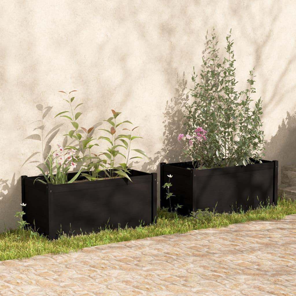 Plantekasser 2 stk. 100x50x50 cm massivt fyrretræ sort