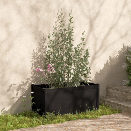 Plantekasser 2 stk. 100x50x50 cm massivt fyrretræ sort