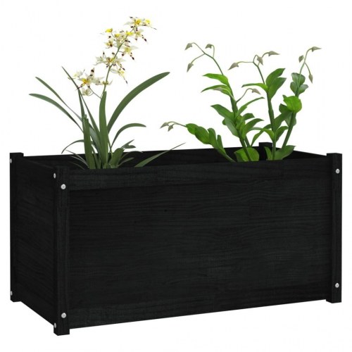 Plantekasser 2 stk. 100x50x50 cm massivt fyrretræ sort