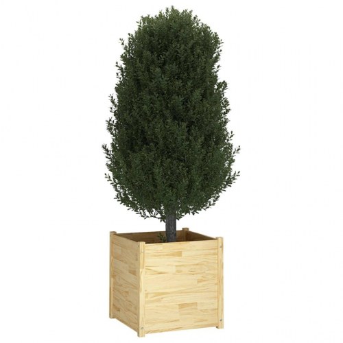 Plantekasser 2 stk. 60x60x60 cm massivt fyrretræ