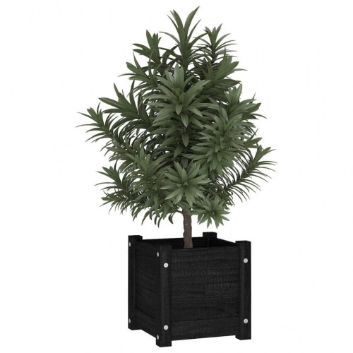 Plantekasse 31x31x31 cm massivt fyrretræ sort