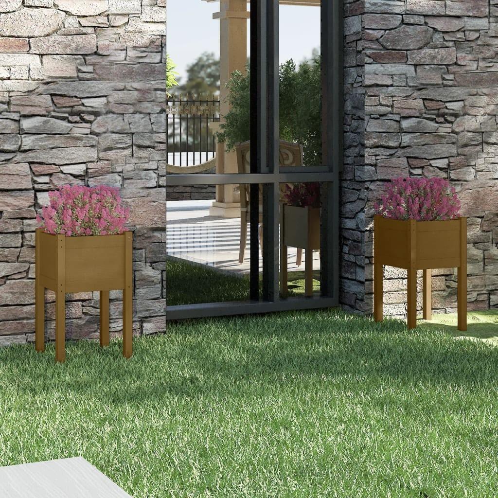 Plantekasser 2 stk. 40x40x70 cm massivt fyrretræ gyldenbrun billede
