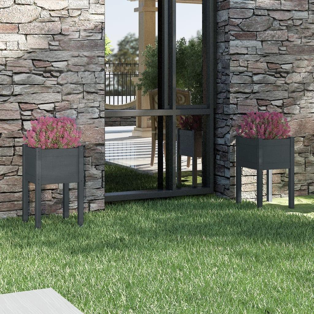 Plantekasser 2 stk. 40x40x70 cm massivt fyrretræ grå billede