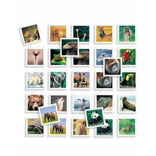 Lærerigt Spil Diset Memo Photo Animales 54 Dele