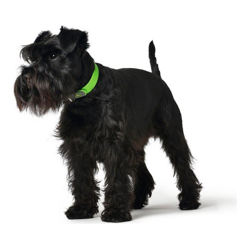 Hundehalsbånd Hunter Convenience S Grøn 28-36 cm