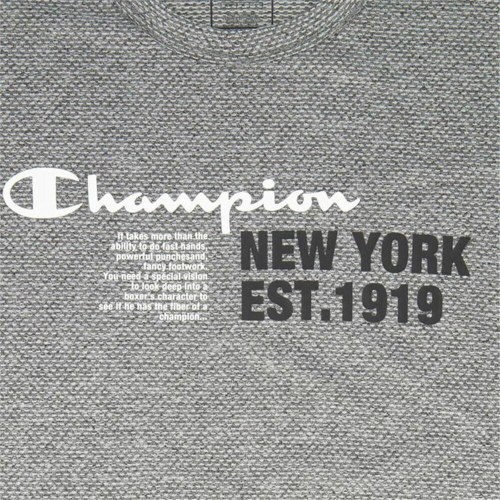 Champion herre T-shirt crewneck, mørkegrå - S