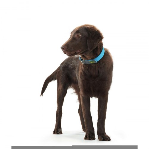Hunter hundehalsbånd Convenience - turkisblå, 38-46 cm