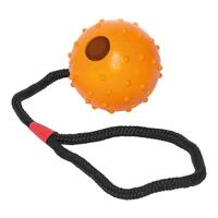 Hund Bidering Gloria Med streng Gummi (7 cm) (7 x 30 cm)